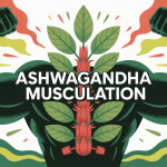 illustration ashwagandha musculation racine et haltères