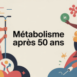 illustration métabolisme après 50 ans silhouettes énergie