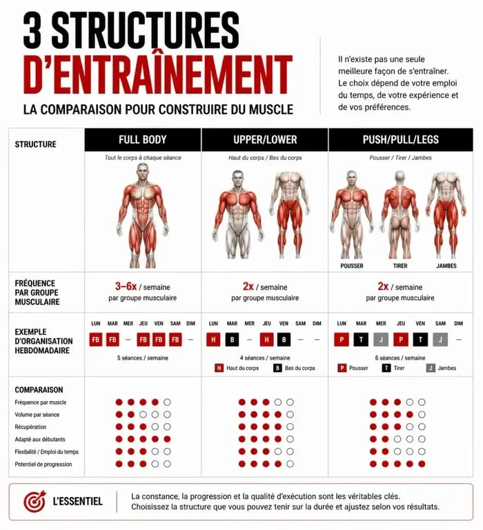 Infographie comparative des programmes de musculation : Full Body, Upper/Lower et Push/Pull/Legs pour organiser sa semaine